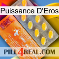 Eros Power new05